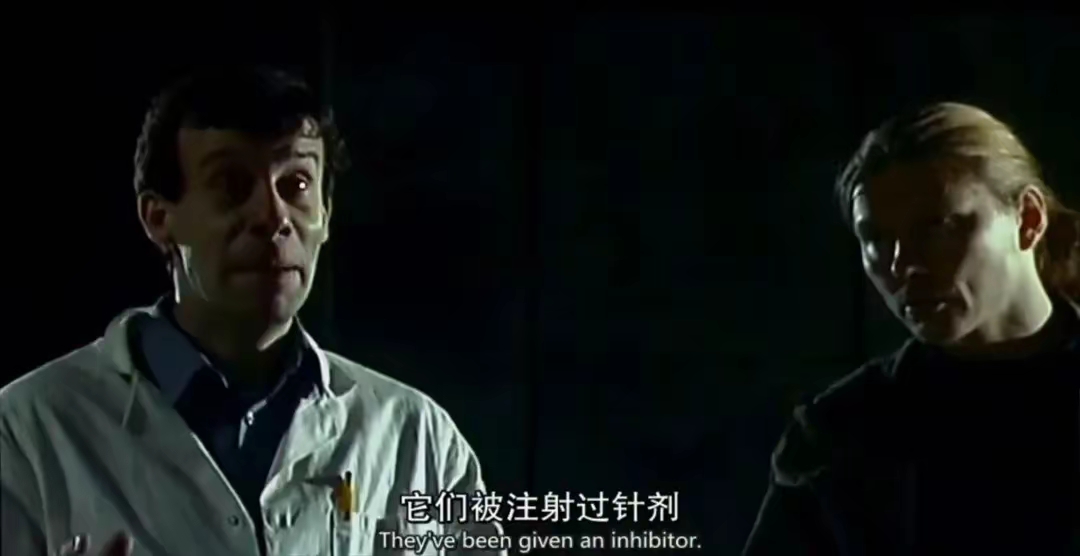 惊变28年 口碑两极分化 电影评价 丧尸片 人性探讨_惊变28年上映了吗